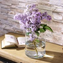 Article Vase en verre transparent cylindrique Ø12cm H20cm
