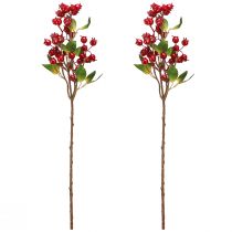 Article Branche décorative d'églantier aux fruits rouges L60cm 2 pcs