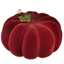 Article Décoration d&#39;automne citrouille floquée rouge bordeaux - décoration citrouille pour une ambiance automnale unique 32cm