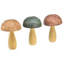 Article Champignons en bois champignons décoratifs décoration d&#39;automne bois assortis 11×7,5cm 3pcs