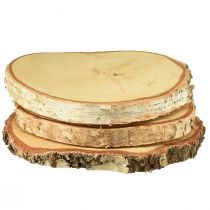 Article Disques en bois de bouleau avec écorce disques d&#39;arbre Ø20-22cm 3 pièces