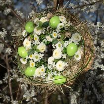 Article Oeufs de poule 5,5 cm - 7 cm vert 10 pcs