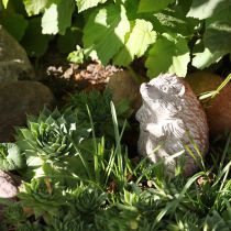 Article Figurine hérisson Pierre moulée Marron Blanchie H14,5 cm