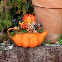 Article Pichet pour planter une décoration de citrouille orange/jaune-vert Ø13cm