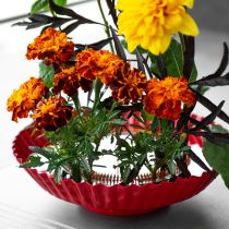 Article Aide à la création de compositions florales avec des épingles en laiton pour l'ikebana et les arrangements floraux