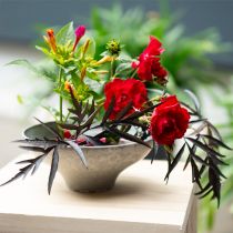 Article Hérisson rond en laiton en forme de fleur pour les compositions florales et l'ikebana