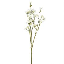 Article Branches de fleurs de cerisier Fleurs de cerisier artificielles blanches 75cm 3pcs
