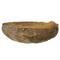 Article Pot de fleurs en noix de coco, naturel, 20 cm, lot de 5
