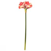 Article Amaryllis Artificielle Rose et Crème – Grande Fleur à Tige 76cm