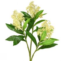 Article Fleurs artificielles crème Skimmia japonica Skimmie 45cm 2pcs