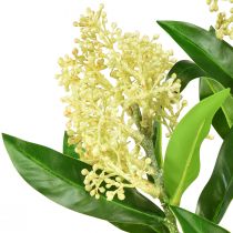 Article Fleurs artificielles crème Skimmia japonica Skimmie 45cm 2pcs