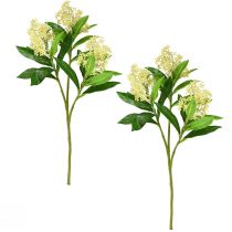 Article Fleurs artificielles crème Skimmia japonica Skimmie 45cm 2pcs