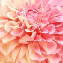 Article Dahlias artificiels rose pêche Ø10cm L80cm 2pcs
