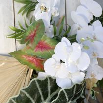 Article Caladium artificiel à six feuilles vert/rose, plante artificielle comme de vraies !