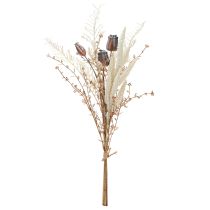 Article Capsules de pavot, fleurs séchées décoratives, fougère artificielle, crème, 63 cm – Décoration élégante pour la maison et le mariage