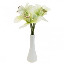 Article Orchidées artificielles fleurs artificielles dans un vase blanc/vert 28cm