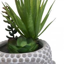 Article Pot de Fleur Artificielle Succulente Bouddha Ø12cm H25cm