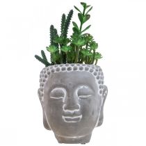 Pot de Fleur Artificielle Succulente Bouddha Ø12cm H24cm