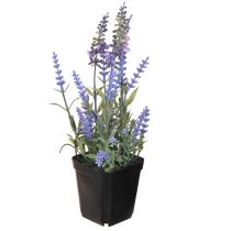 Article Lavande artificielle en pot Plantes artificielles à fleurs 25 cm