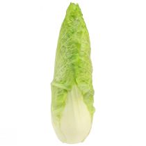 Article Factice alimentaire chou pointu artificiel Ø5cm H18cm
