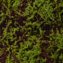 Article Mousse Artificielle Grand Tapis de Mousse Marron Vert 100×50cm