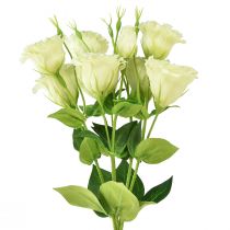 Article Fleurs artificielles Eustoma Lisianthus jaune vert 52cm 5 pcs
