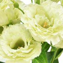 Article Fleurs artificielles Eustoma Lisianthus jaune vert 52cm 5 pcs