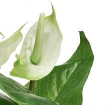 Article Fleurs artificielles, fleur de flamant rose, anthurium artificiel blanc 36cm