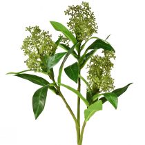 Article Fleurs artificielles vertes Skimmia japonica Skimmie 45cm 2pcs