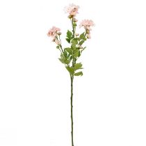 Article Fleurs artificielles Asters artificiels Fleurs en soie Rose 80cm