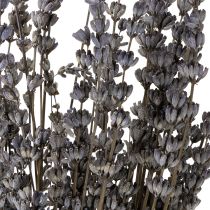 Article Fleurs séchées parfumées de lavande 35-40 cm 50 g