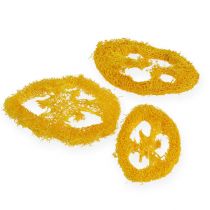 Tranches de luffa jaunes 25 p.