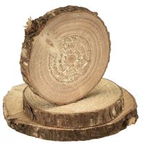 Article Rondelles de bois miniatures, décoration naturelle, Ø 3-6 cm, 600 g, loisirs créatifs