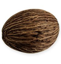 Article Fruits de cerbera Mintolla déco Nature 8-10cm 15 pièces