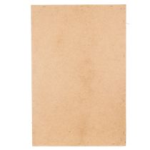 Article Tableau de mousse, véritable mousse et brindilles préservées, naturel, 60×40 cm