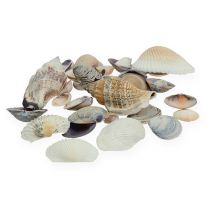 Article Mélange de moules naturel 400g