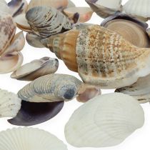 Article Mélange de moules naturel 400g