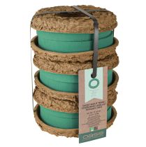 Article OASIS® Biolit® Anneau/Couronne 17 cm 6 pièces