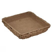 Article Oasis Biolit Support pour ½ brique mousse florale 13×13×2cm 12pcs