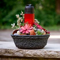 Article Bol à Plantes Oasis Noir Biolit Bol à Fleurs Noir Ø26cm