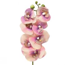 Article Orchidée Phalaenopsis artificielle 7 fleurs violet crème 73cm