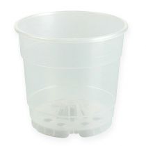 Article Pot pour orchidées transparent Ø15cm 10pcs