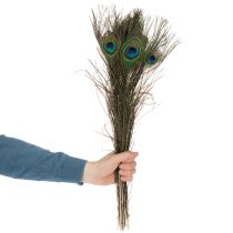 Article Plumes de paon, véritables plumes d'oiseau pour loisirs créatifs et décoration, 55 cm, lot de 10.