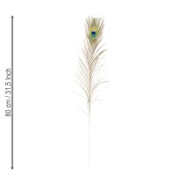 Article Plumes de paon décoratives, véritables plumes d'oiseaux, longues de 75 à 85 cm, 8 pièces