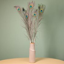 Article Décoration en plumes de paon, véritables plumes d'oiseau, longueur 75-85 cm, 8 pièces