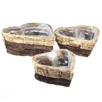 Article Bol à plantes en bois coeur végétal 3 couleurs 30/26/20,5 cm lot de 3