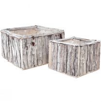 Article Jardinière en bois avec écorce blanc naturel 17/24cm lot de 2 pièces
