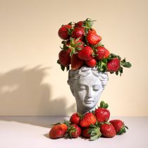 Article Buste tête de plante gris-bleu Ø8cm H15cm