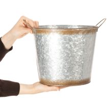 Article Pot de fleurs avec anses, coupe décorative à l'aspect rouillé, récipient en métal argenté Ø26 cm H25,5 cm