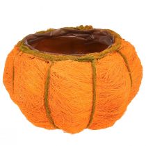 Article Cache-pot décoration citrouille orange/jaune-vert sisal Ø21cm H12cm